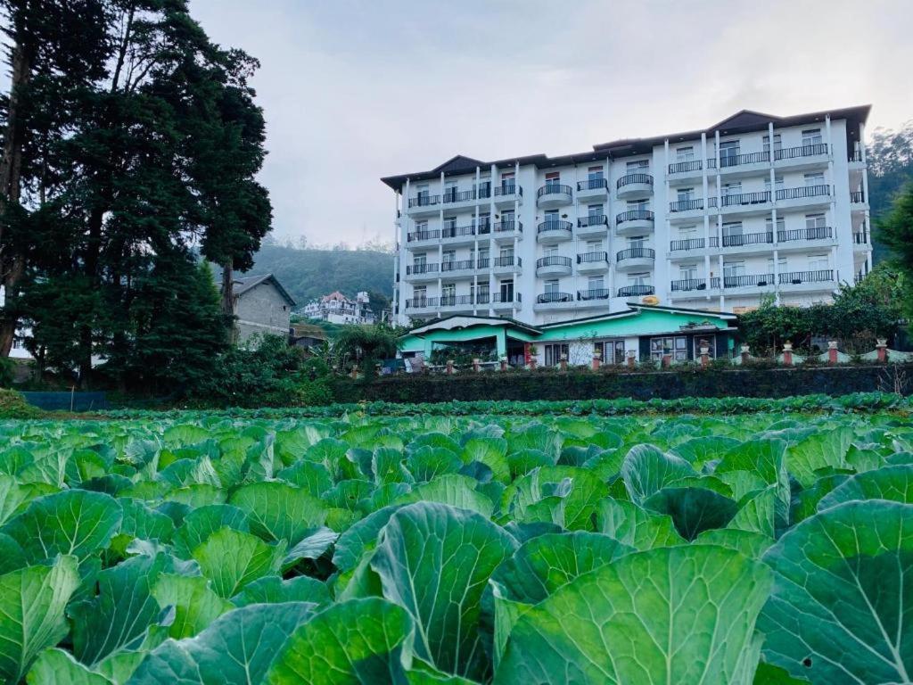 The Teak By Lakbima Apartment Nuwara Eliya Exterior foto